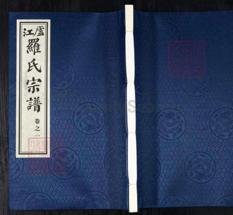 安徽省合肥市庐江县庐城镇罗氏孝思堂族谱-罗氏宗谱.pdf电子版缩略图
