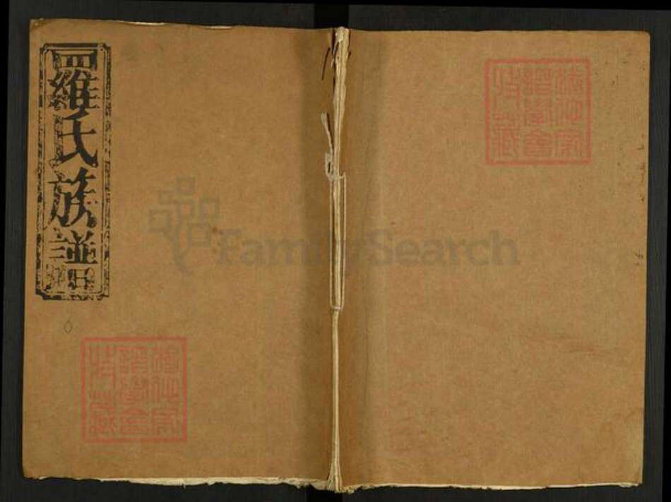 江西省南昌市罗氏豫章堂族谱-罗氏族谱.pdf电子版缩略图