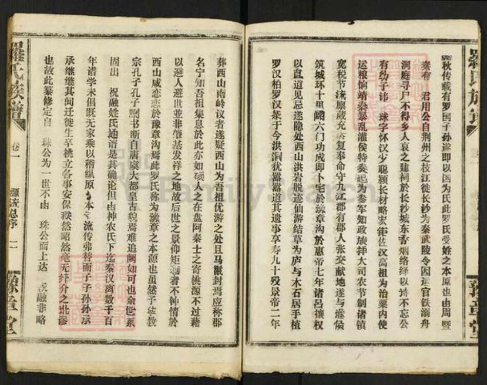 江西省南昌市罗氏豫章堂族谱-罗氏族谱.pdf电子版预览图2