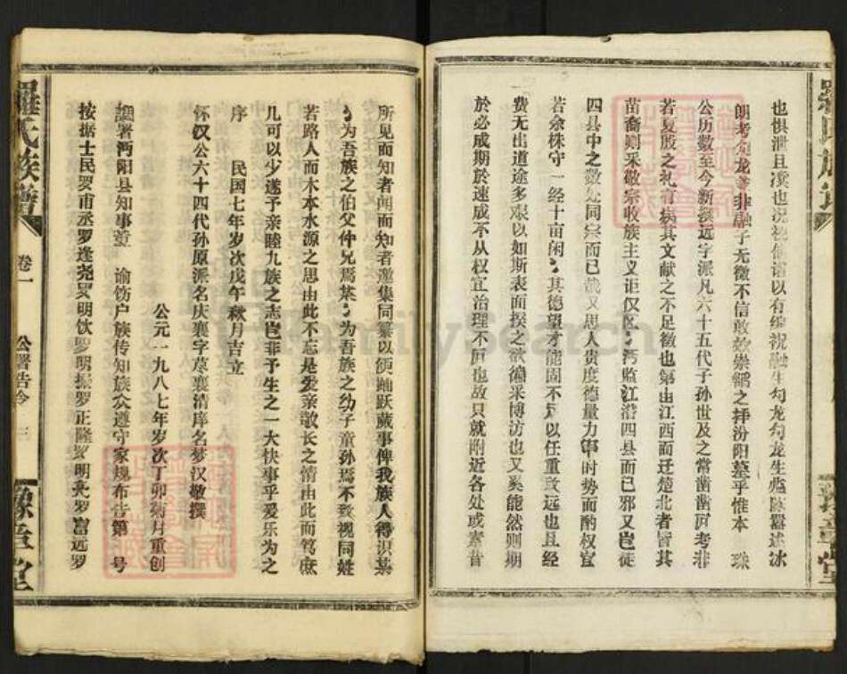 江西省南昌市罗氏豫章堂族谱-罗氏族谱.pdf电子版预览图3