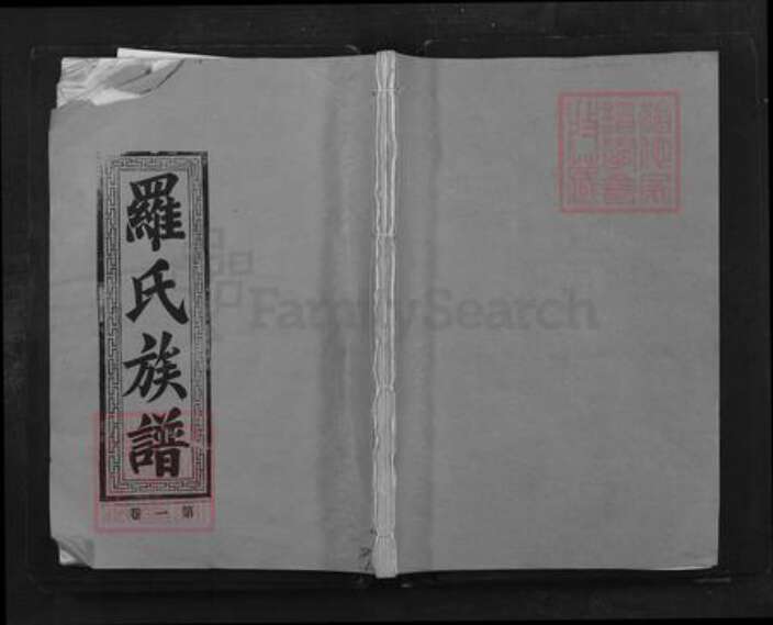 广东省韶关市乐昌市坪石街道罗氏族谱-罗氏族谱.pdf电子版缩略图