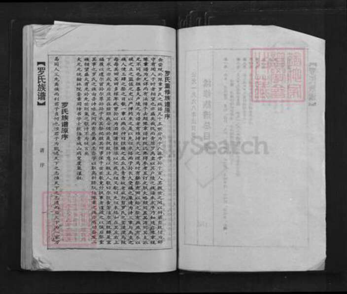 广东省韶关市乐昌市坪石街道罗氏族谱-罗氏族谱.pdf电子版预览图2