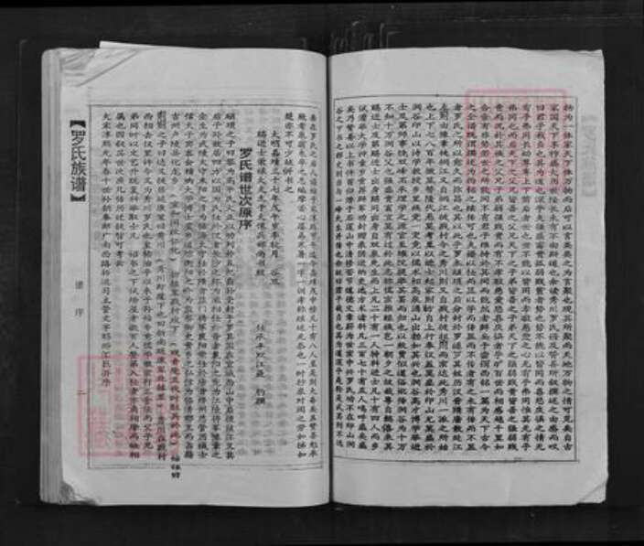 广东省韶关市乐昌市坪石街道罗氏族谱-罗氏族谱.pdf电子版预览图3