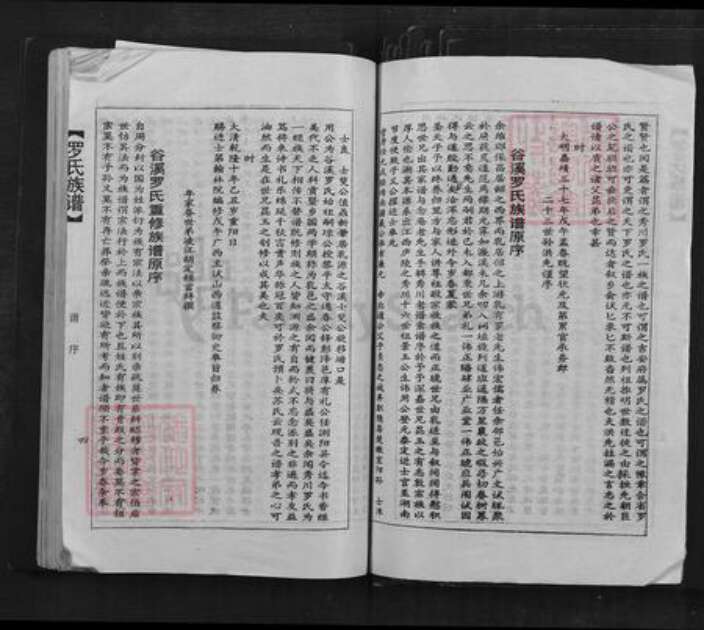 广东省韶关市乐昌市坪石街道罗氏族谱-罗氏族谱.pdf电子版预览图5