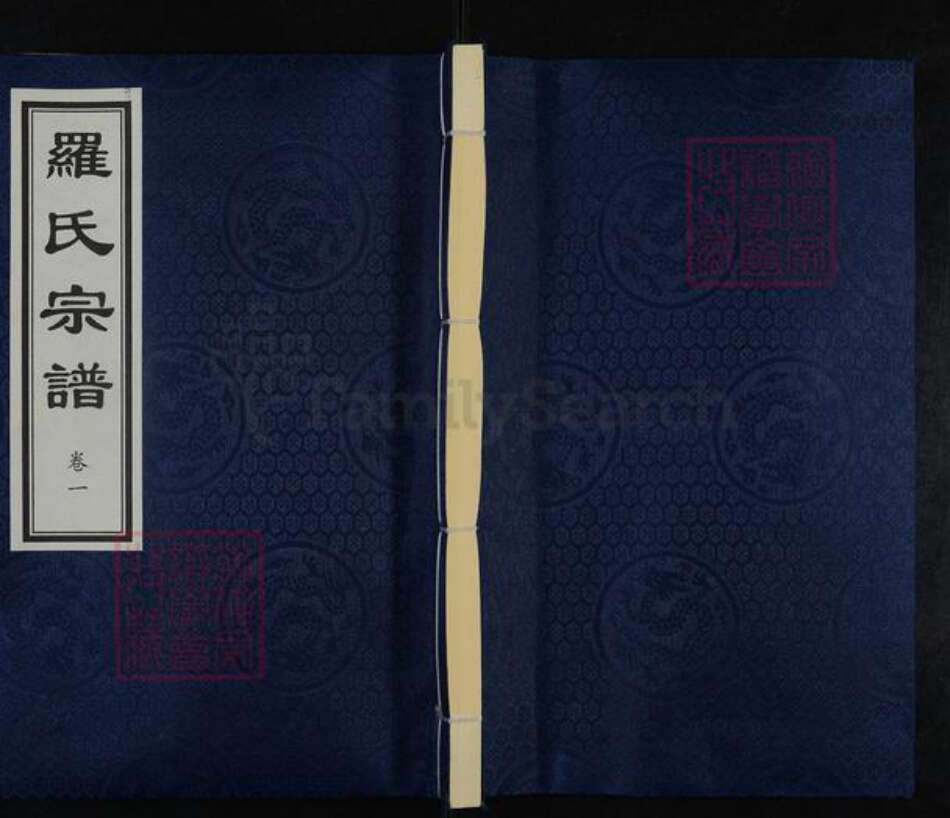 河北省沧州沧县罗氏族谱-罗氏宗谱.pdf电子版缩略图