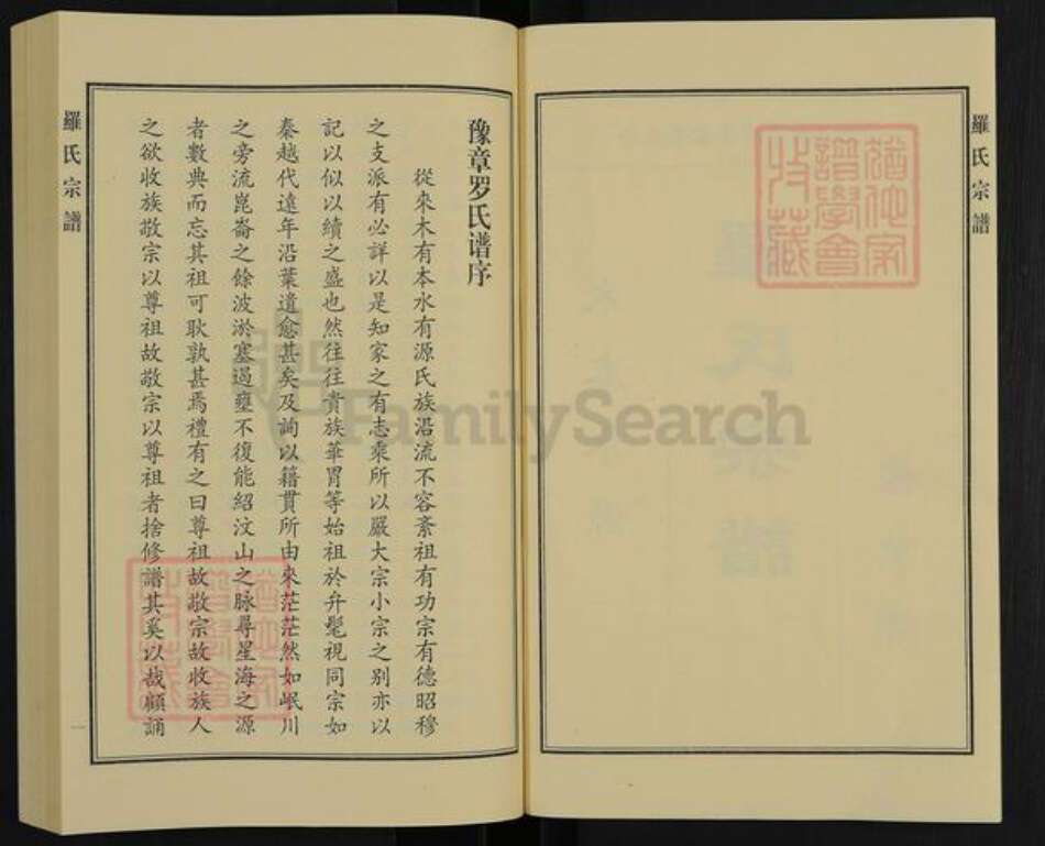 河北省沧州沧县罗氏族谱-罗氏宗谱.pdf电子版预览图2