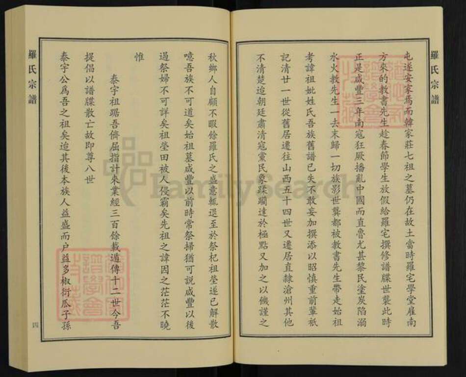 河北省沧州沧县罗氏族谱-罗氏宗谱.pdf电子版预览图5