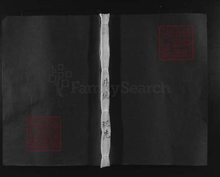 江西省南昌市南昌县富山乡罗氏豫章堂族谱-罗氏宗谱.pdf电子版缩略图