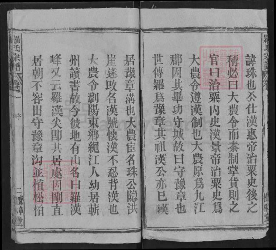 湖北省罗氏柏林堂族谱-罗氏宗谱.pdf电子版预览图2