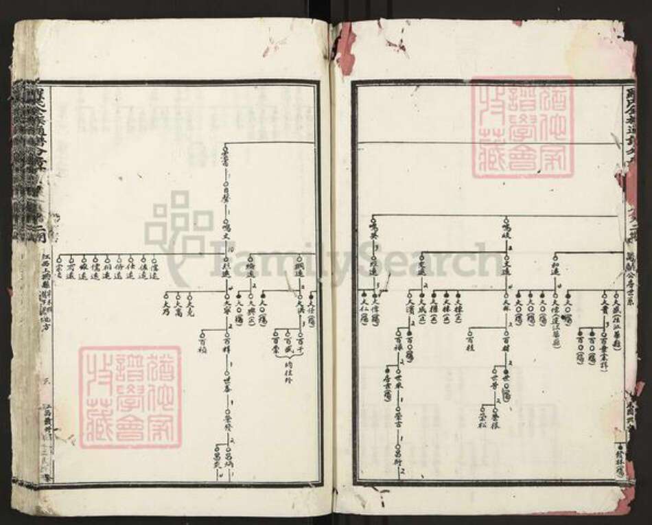 江西省赣州市罗氏族谱-罗氏全族通谱分房世录.pdf电子版预览图4