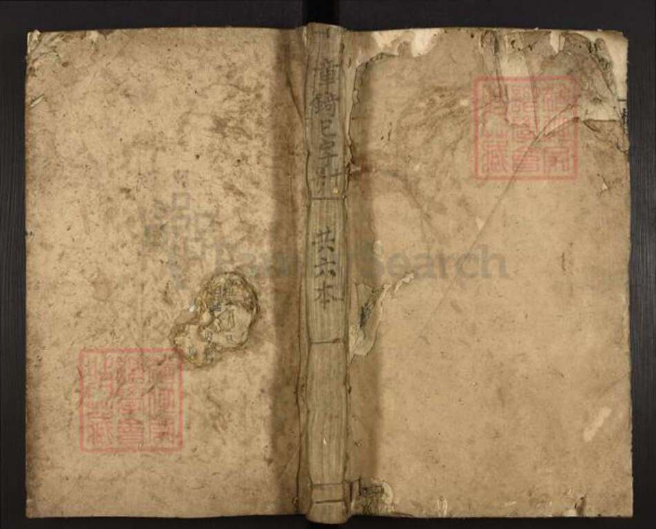 湖南省郴州市桂东县罗氏族谱-桂东罗氏族谱.pdf电子版缩略图