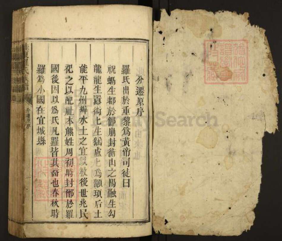 湖南省郴州市桂东县罗氏族谱-桂东罗氏族谱.pdf电子版预览图1