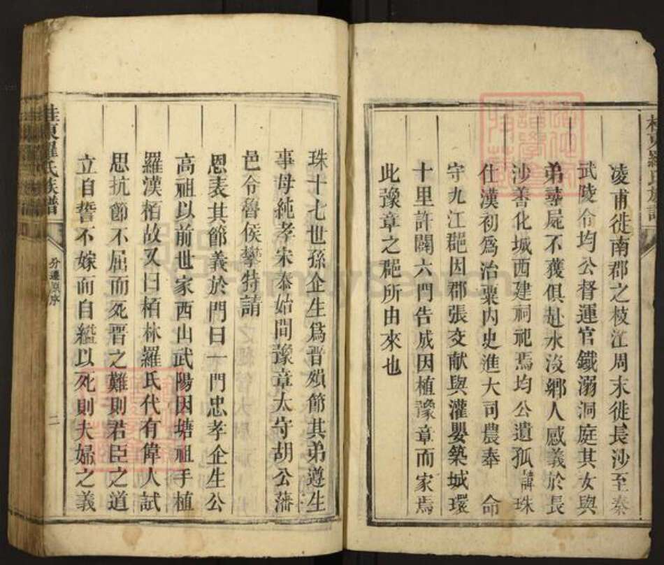 湖南省郴州市桂东县罗氏族谱-桂东罗氏族谱.pdf电子版预览图2