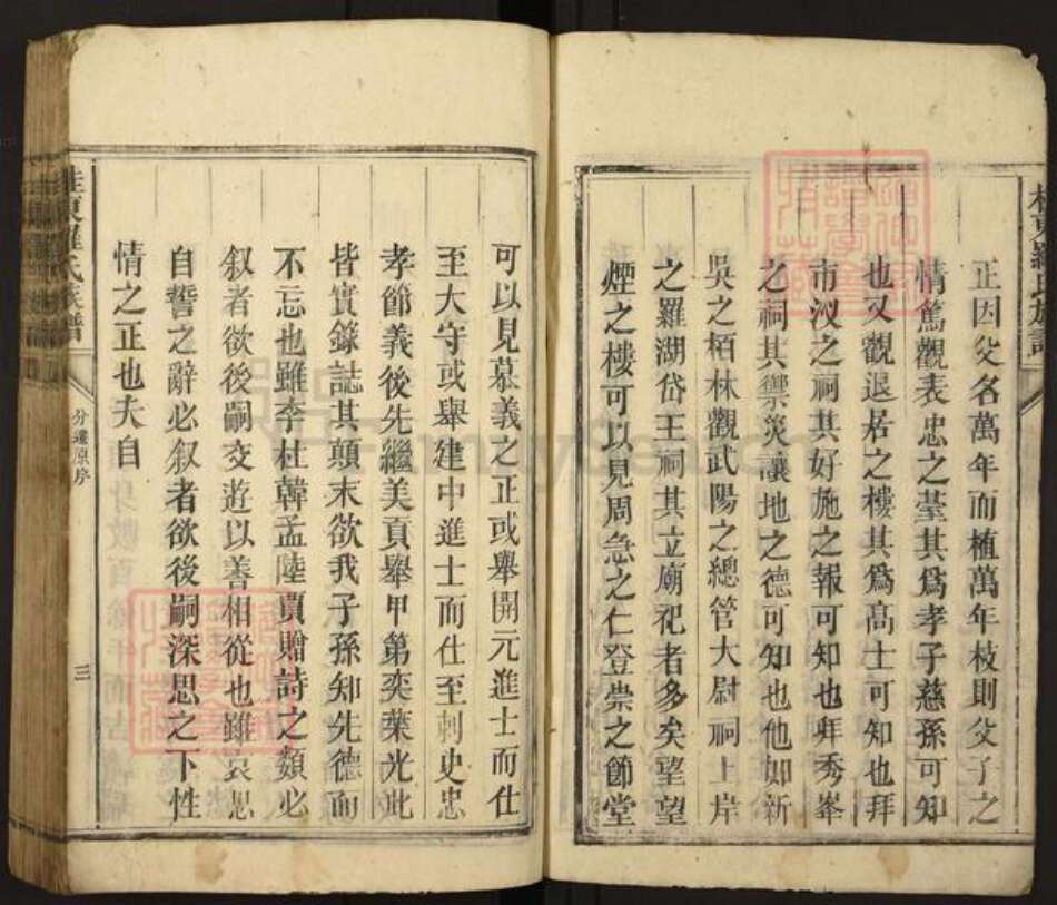 湖南省郴州市桂东县罗氏族谱-桂东罗氏族谱.pdf电子版预览图3