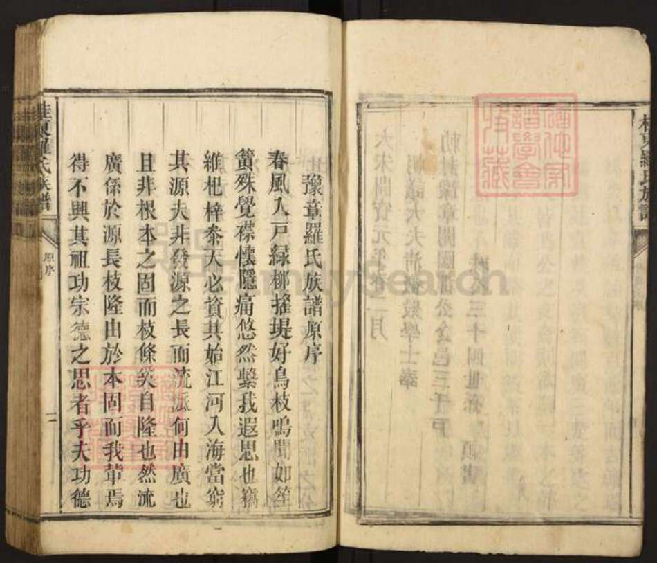 湖南省郴州市桂东县罗氏族谱-桂东罗氏族谱.pdf电子版预览图5