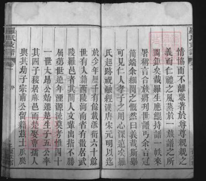 湖北省黄冈市麻城市白果镇罗氏报本堂族谱-罗氏支谱.pdf电子版预览图2