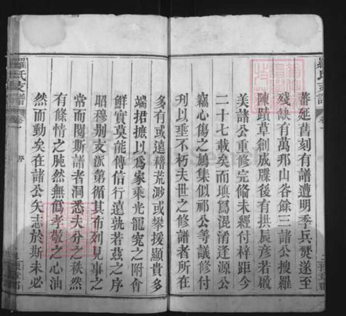 湖北省黄冈市麻城市白果镇罗氏报本堂族谱-罗氏支谱.pdf电子版预览图3