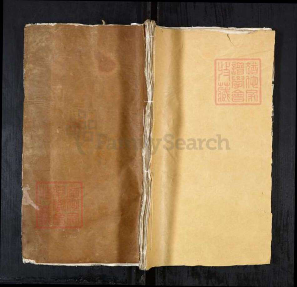 安徽省合肥市庐江县罗氏族谱-罗氏宗谱 20卷首3卷.pdf电子版缩略图