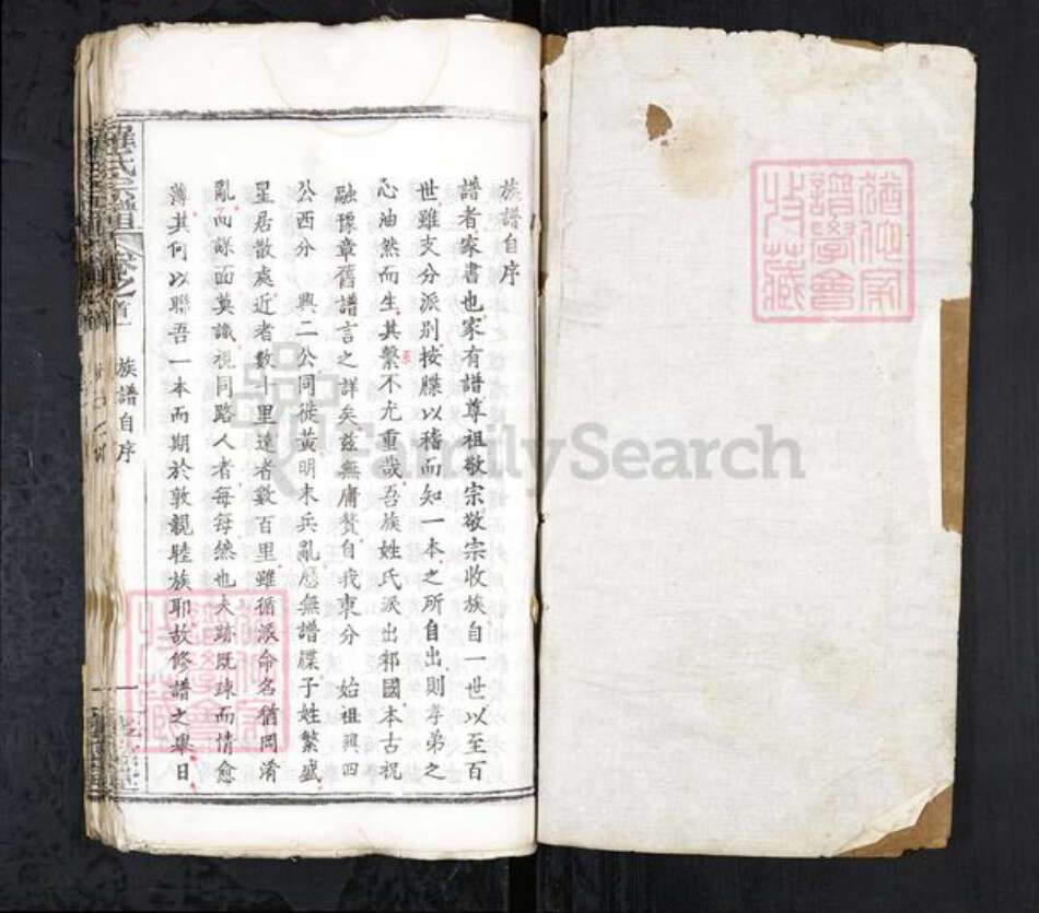 安徽省合肥市庐江县罗氏族谱-罗氏宗谱 20卷首3卷.pdf电子版预览图1