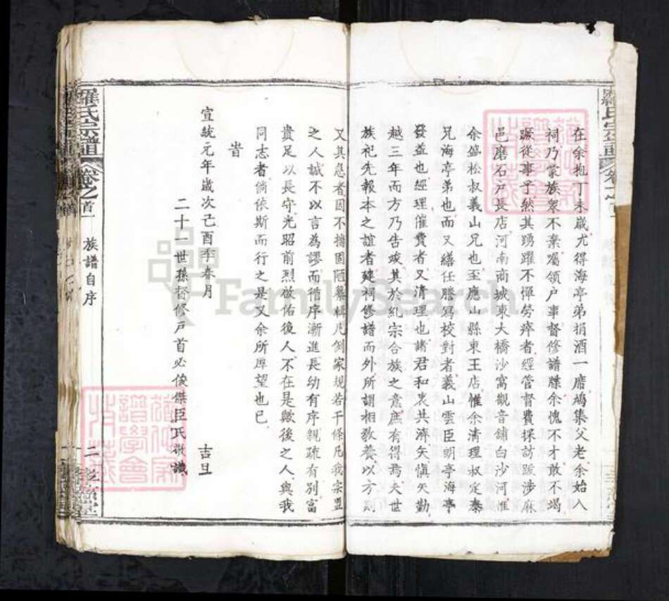 安徽省合肥市庐江县罗氏族谱-罗氏宗谱 20卷首3卷.pdf电子版预览图2