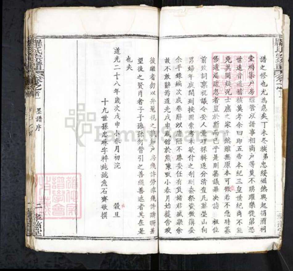 安徽省合肥市庐江县罗氏族谱-罗氏宗谱 20卷首3卷.pdf电子版预览图4