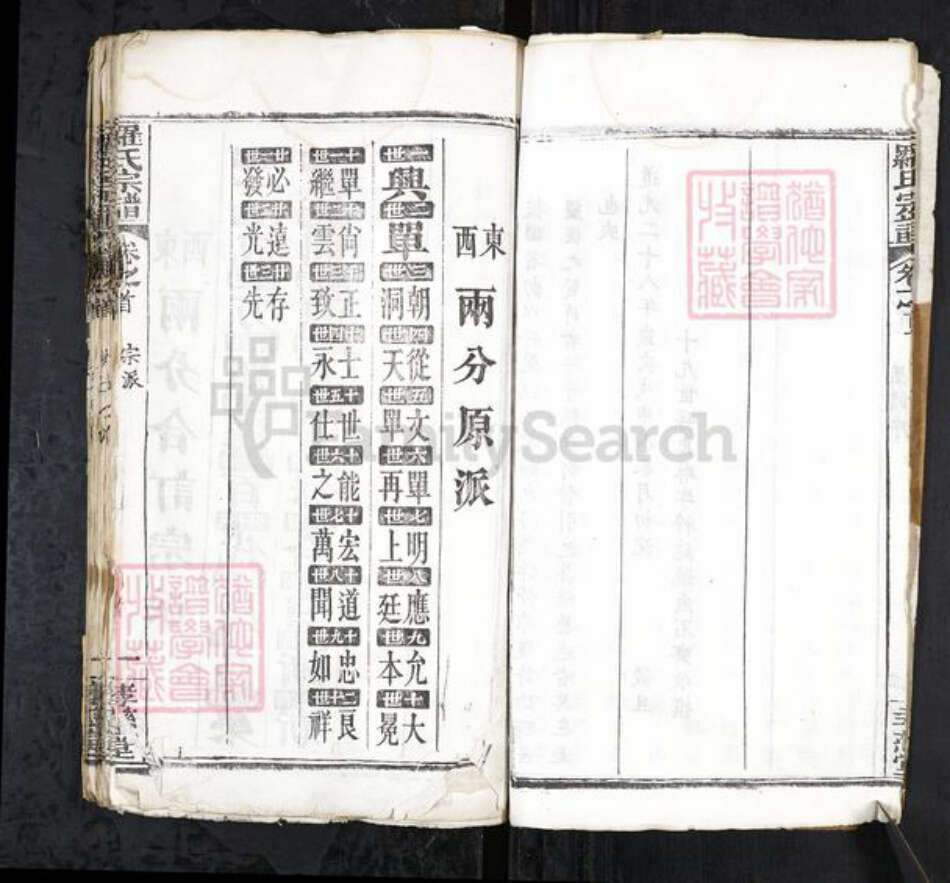 安徽省合肥市庐江县罗氏族谱-罗氏宗谱 20卷首3卷.pdf电子版预览图5