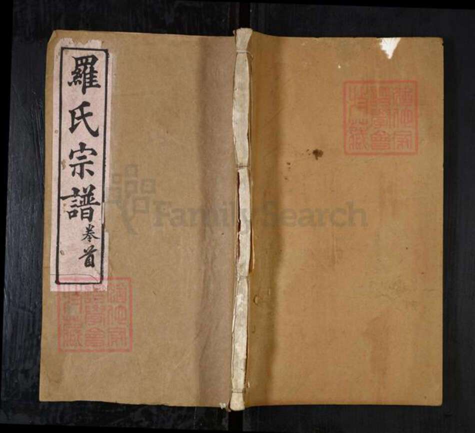 湖北省黄冈市罗氏族谱-罗氏宗谱（东分）[11卷首3卷].pdf电子版缩略图