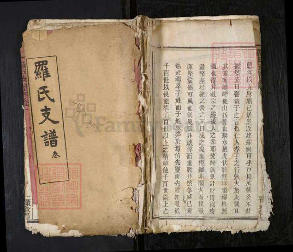 湖北省黄冈市红安县罗氏族谱-罗氏支谱[6卷].pdf电子版缩略图