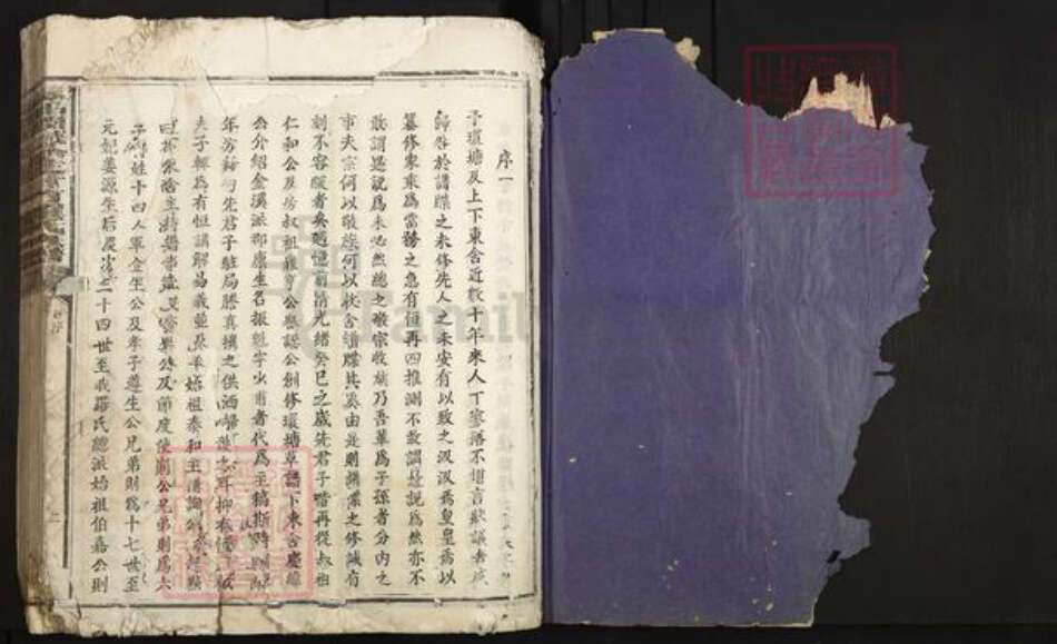 江西省抚州市广昌县甘竹镇罗氏复初堂族谱-泰和阙城分徙甘竹罗氏族谱.pdf电子版预览图1