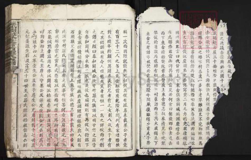 江西省抚州市广昌县甘竹镇罗氏复初堂族谱-泰和阙城分徙甘竹罗氏族谱.pdf电子版预览图2