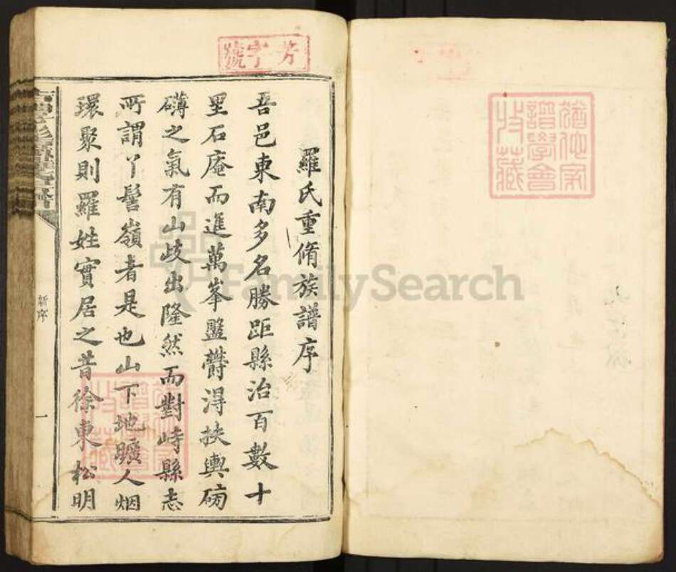 福建省龙岩市上杭县溪口镇罗氏族谱-古丰丫髻岭罗氏房谱.pdf电子版预览图2