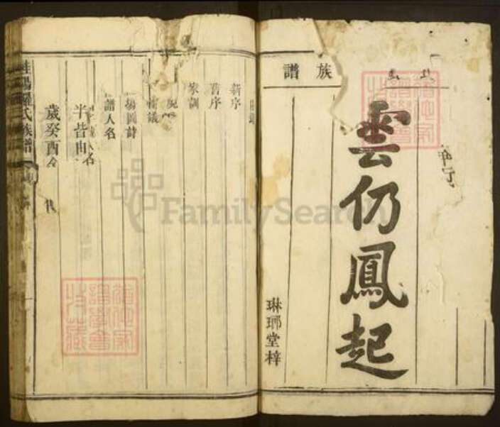 湖南省郴州市桂阳县罗氏琳琅堂族谱-桂阳罗氏族谱.pdf电子版预览图1