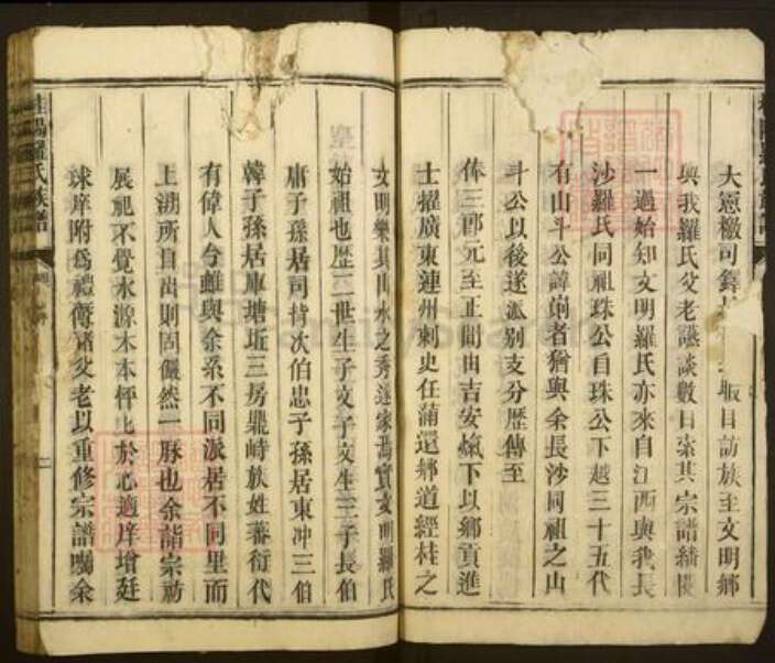 湖南省郴州市桂阳县罗氏琳琅堂族谱-桂阳罗氏族谱.pdf电子版预览图3