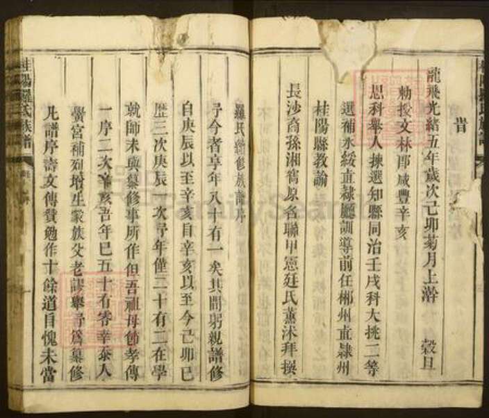 湖南省郴州市桂阳县罗氏琳琅堂族谱-桂阳罗氏族谱.pdf电子版预览图5