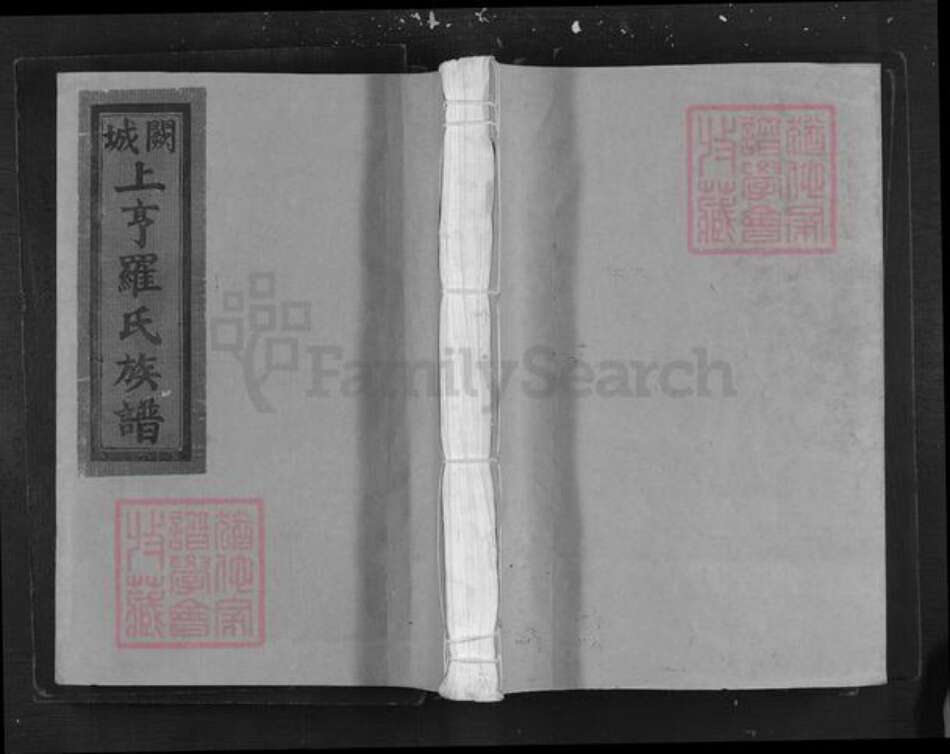 江西省吉安市泰和市罗氏族谱-阙城上亨罗氏族谱.pdf电子版缩略图