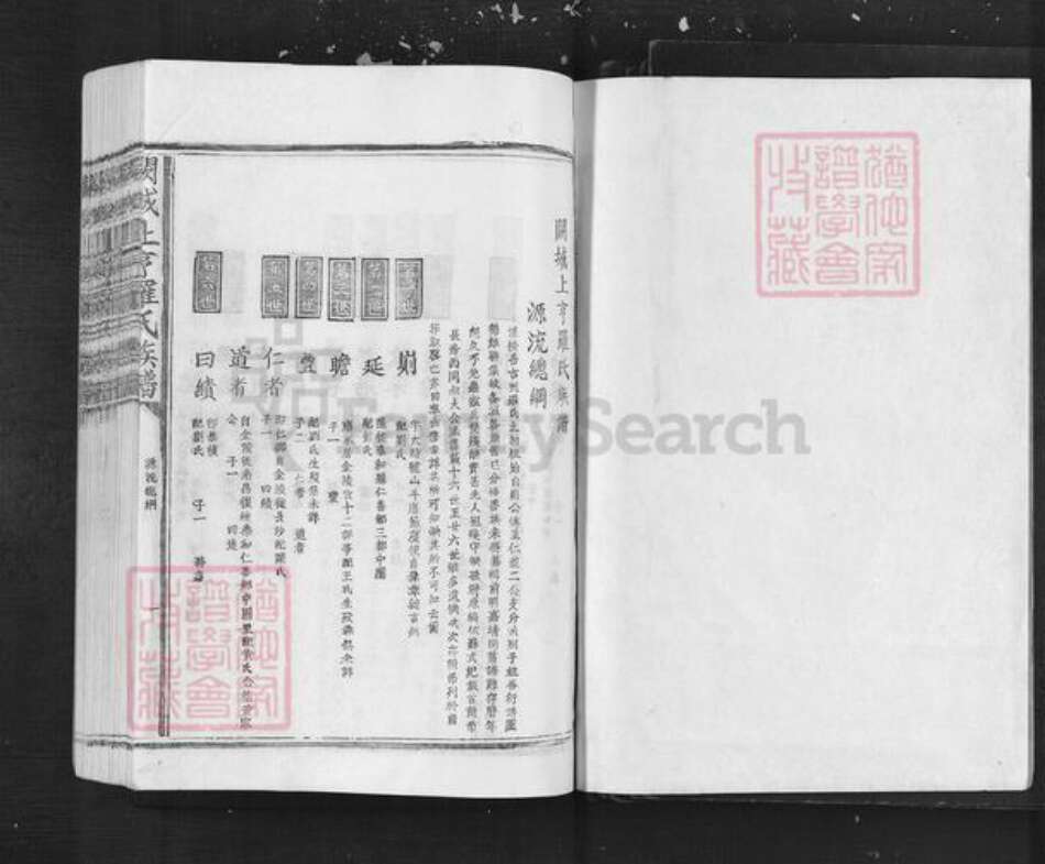 江西省吉安市泰和市罗氏族谱-阙城上亨罗氏族谱.pdf电子版预览图1