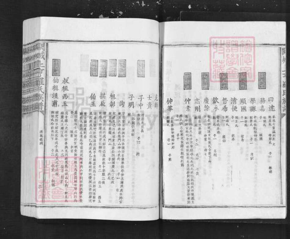 江西省吉安市泰和市罗氏族谱-阙城上亨罗氏族谱.pdf电子版预览图2