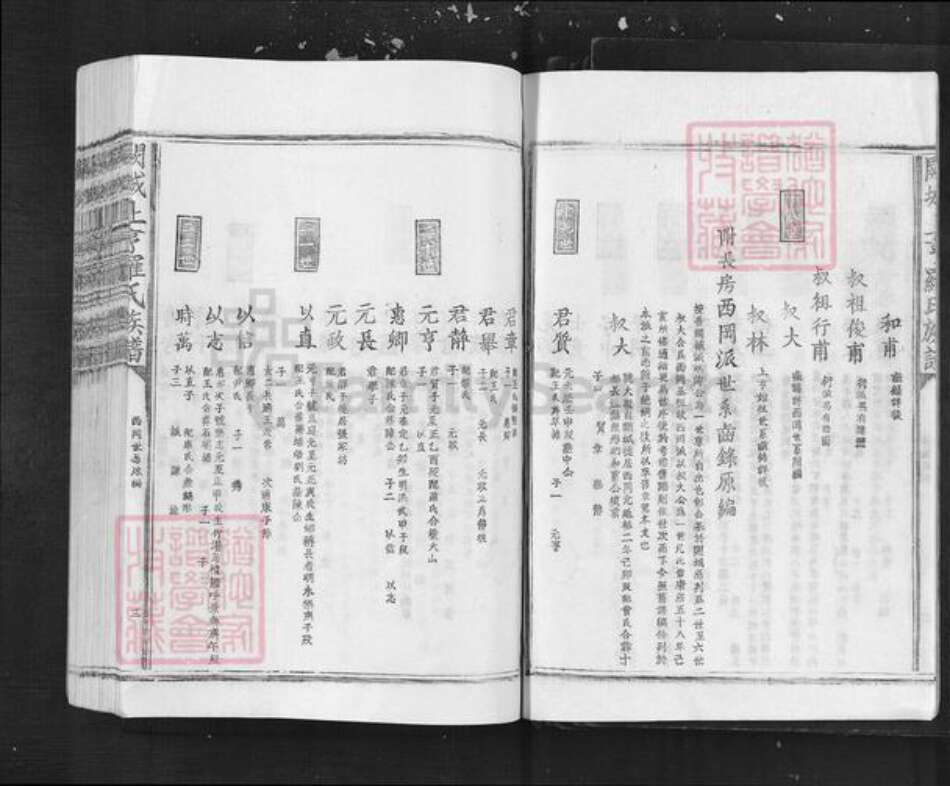 江西省吉安市泰和市罗氏族谱-阙城上亨罗氏族谱.pdf电子版预览图3