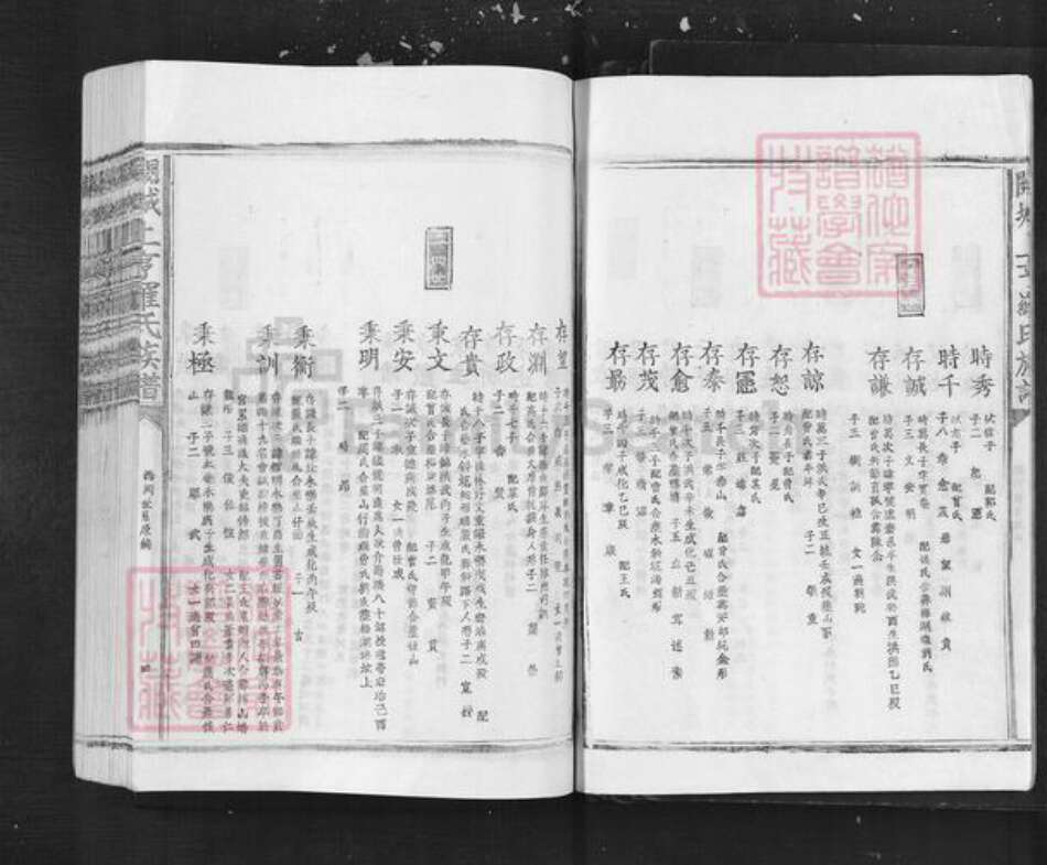 江西省吉安市泰和市罗氏族谱-阙城上亨罗氏族谱.pdf电子版预览图4