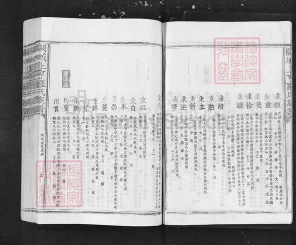 江西省吉安市泰和市罗氏族谱-阙城上亨罗氏族谱.pdf电子版预览图5