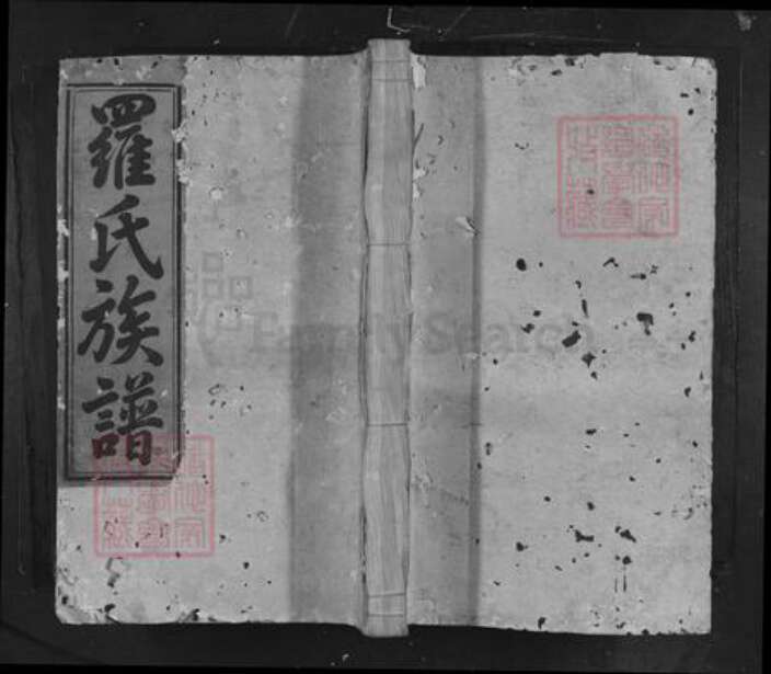 江西省南昌市罗氏族谱-罗氏重修族谱.pdf电子版缩略图