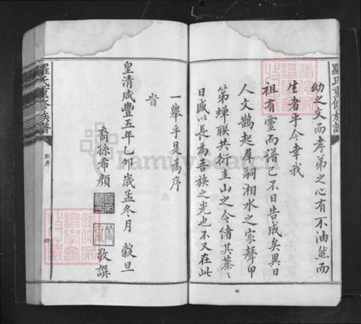 江西省南昌市罗氏族谱-罗氏重修族谱.pdf电子版预览图4