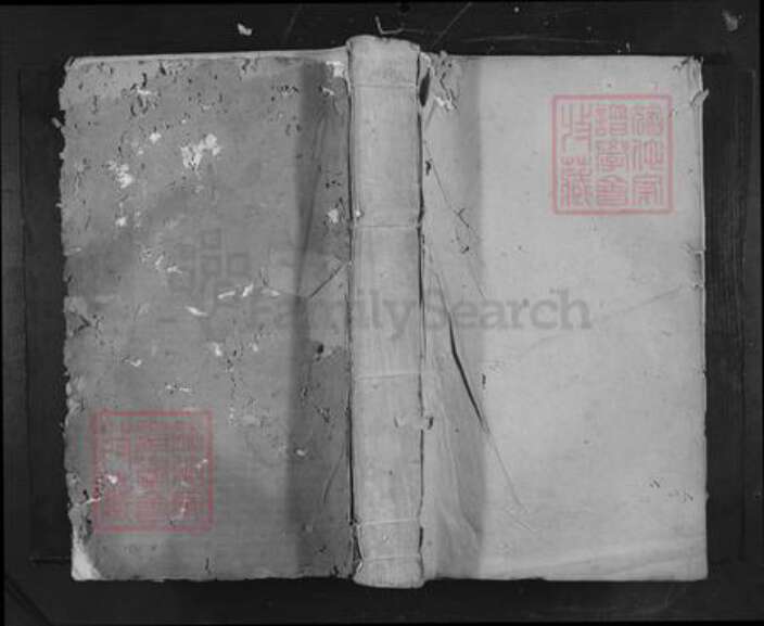 江西省吉安市吉水县阜田镇罗氏族谱-秀川罗氏支谱.pdf电子版缩略图