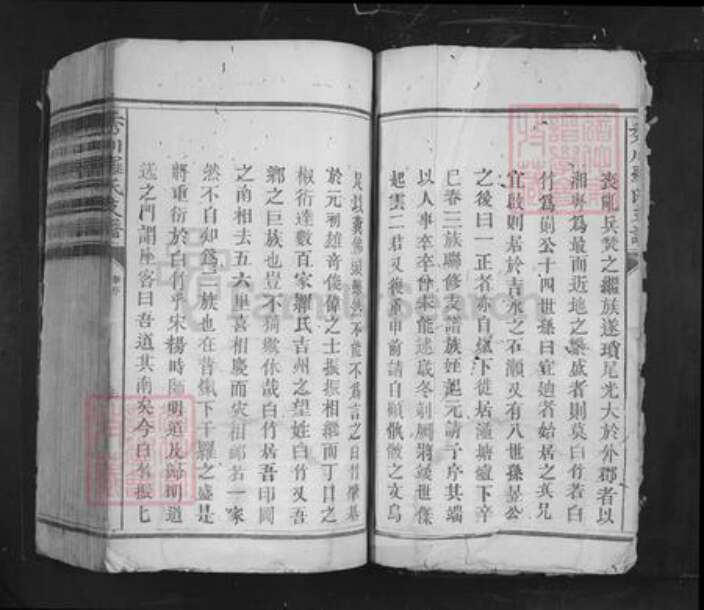 江西省吉安市吉水县阜田镇罗氏族谱-秀川罗氏支谱.pdf电子版预览图2