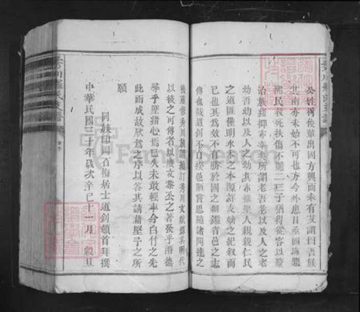 江西省吉安市吉水县阜田镇罗氏族谱-秀川罗氏支谱.pdf电子版预览图3