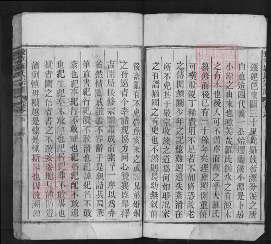 浙江省金华市兰溪市罗氏族谱-豫章罗氏宗谱.pdf电子版预览图2