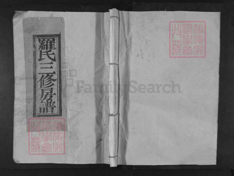 江西省南昌市东湖区罗氏族谱-罗氏三修房谱.pdf电子版缩略图