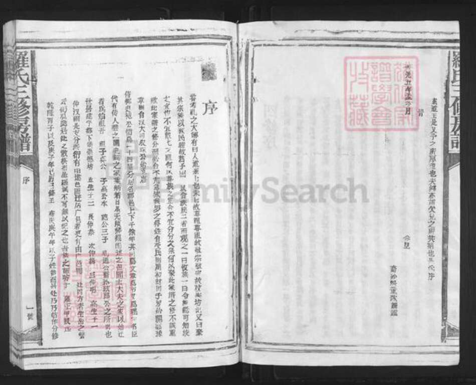 江西省南昌市东湖区罗氏族谱-罗氏三修房谱.pdf电子版预览图5