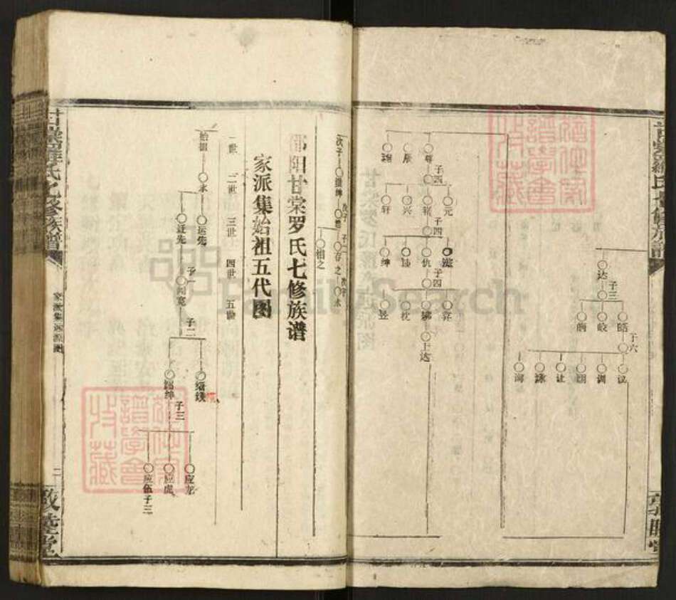 湖南省邵阳市邵阳县罗氏敦睦堂族谱-甘棠罗氏七修族谱.pdf电子版预览图2