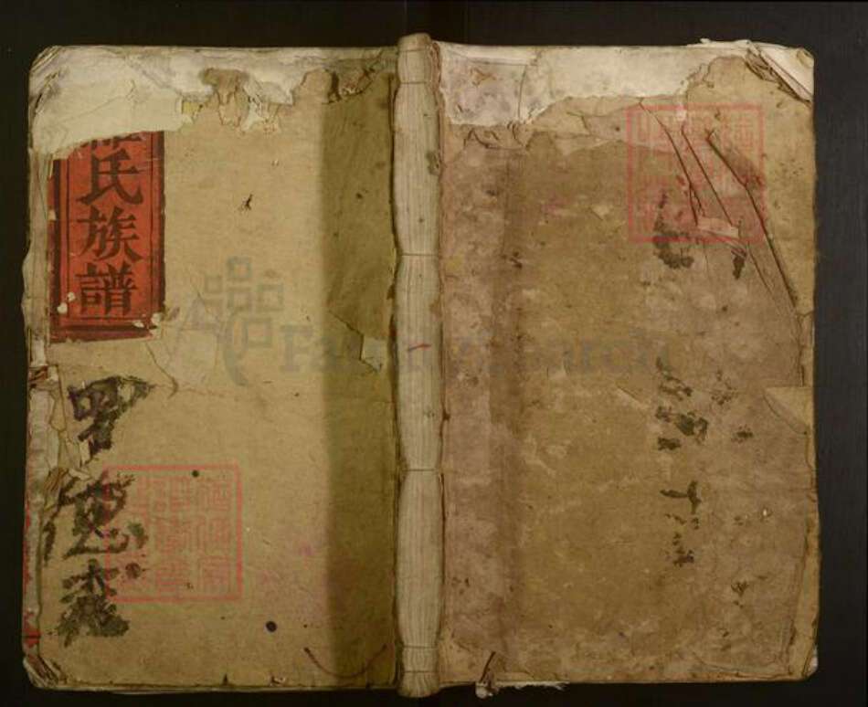 湖南省常德市罗氏族谱-龙益罗氏族谱[20卷首1卷].pdf电子版缩略图